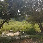 Anuraag