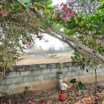 Sattva Farmstay