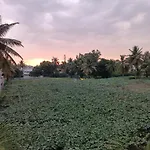 Citrus Home