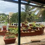 The Avatar Life Penthouse