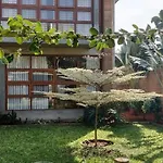 Serene Meadows Villa