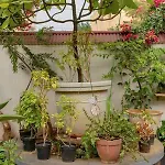Eden Garden Villa By Jadecaps Nr Mg Road Garden