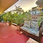 Scarlet - Vintage Haven