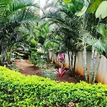 Serene International