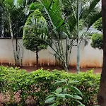 Serene International