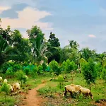 Eco Farm