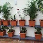Anjani Suta Home Stay