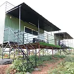 Birds Of Paradise Foundation