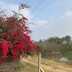 Sattva Farmstay