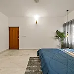 Palm Serenity