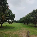 Mangonest Farmstay