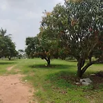 Mangonest Farmstay