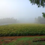 Nikhil