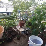 Naik\'S Nest