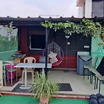 Fernandes Complex