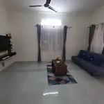 Amazing Nest