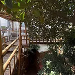 Garden Oasis Retreat