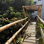 Garden Oasis Retreat