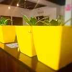 Transit Dorms - A Backpackers Inn & Hostel