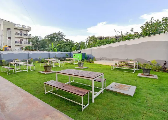 C-Suites Winster