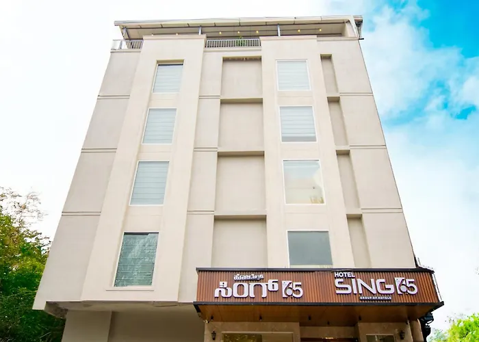 Hotel Sing 65