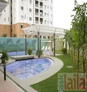 Corporate Suites Inc