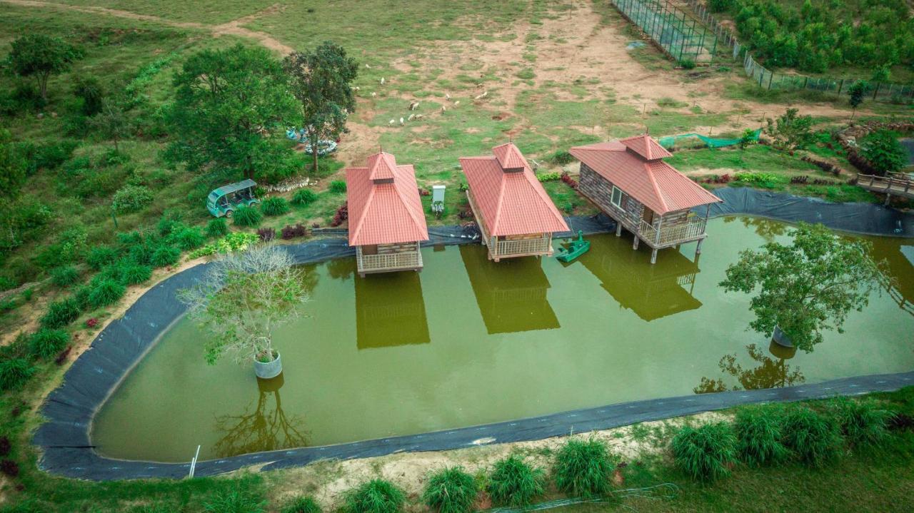 Shreegandha Nest * Bangalore