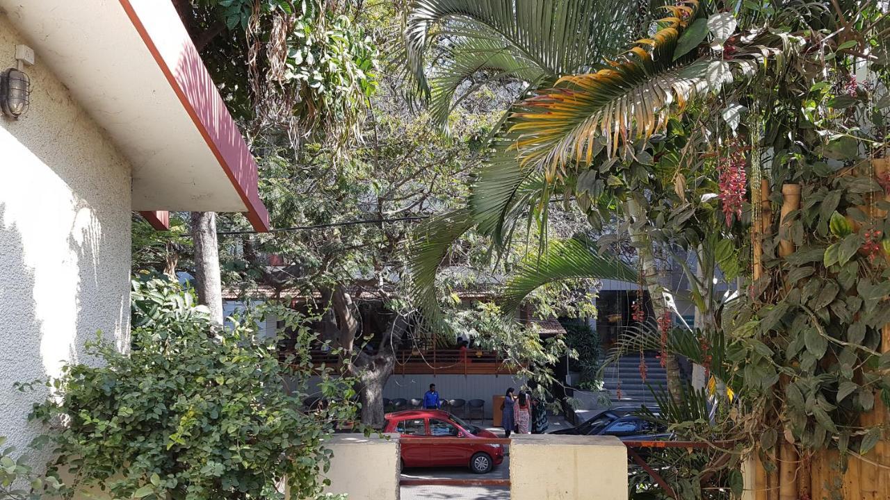 Be Animal Albergue Bangalore