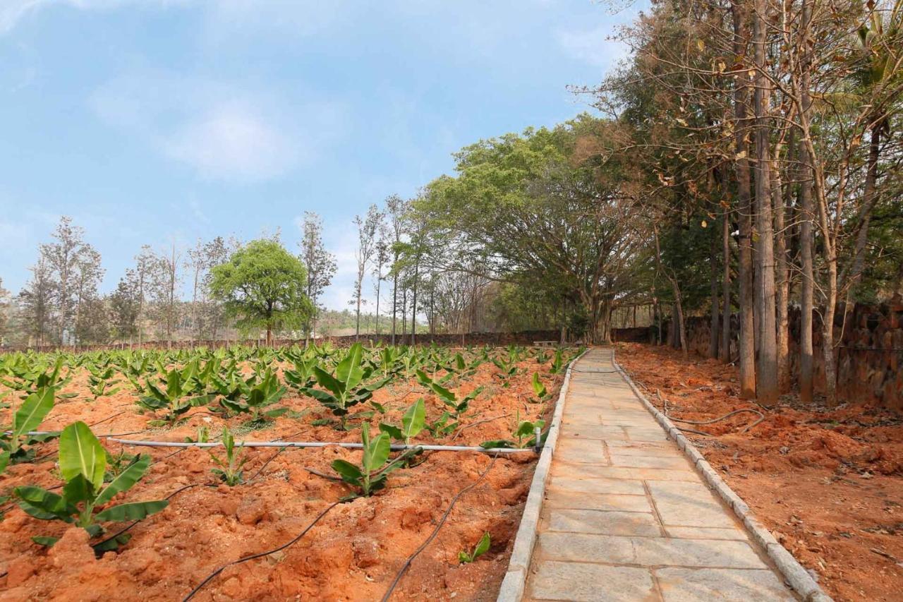 Stayvista At Ananta - Breakfast Included & Basketball Court * Bangalore