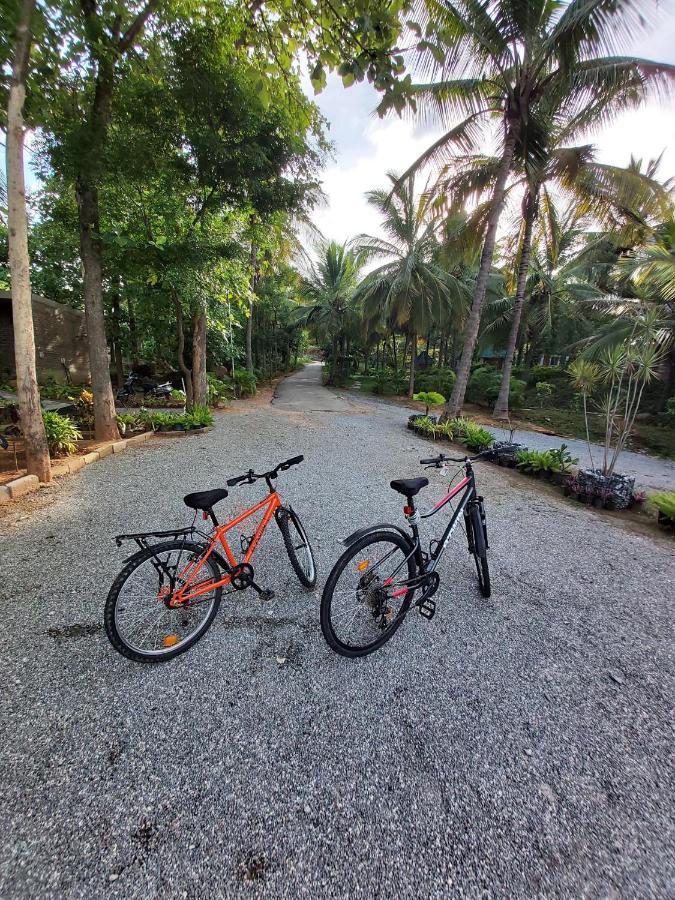 Soul Nest-pyramid Valley International Resort Bangalore