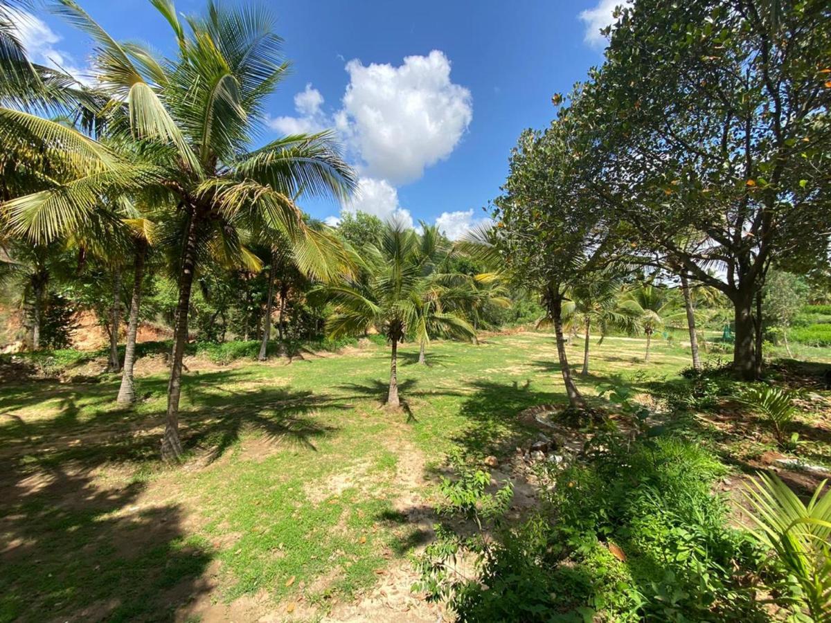 Resort Soul Nest-pyramid Valley International *