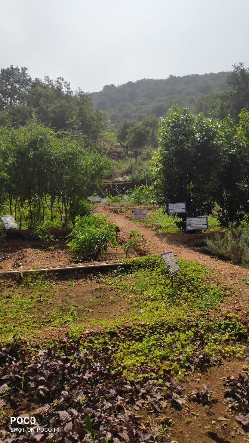 Euphoria Farms Acampamento *