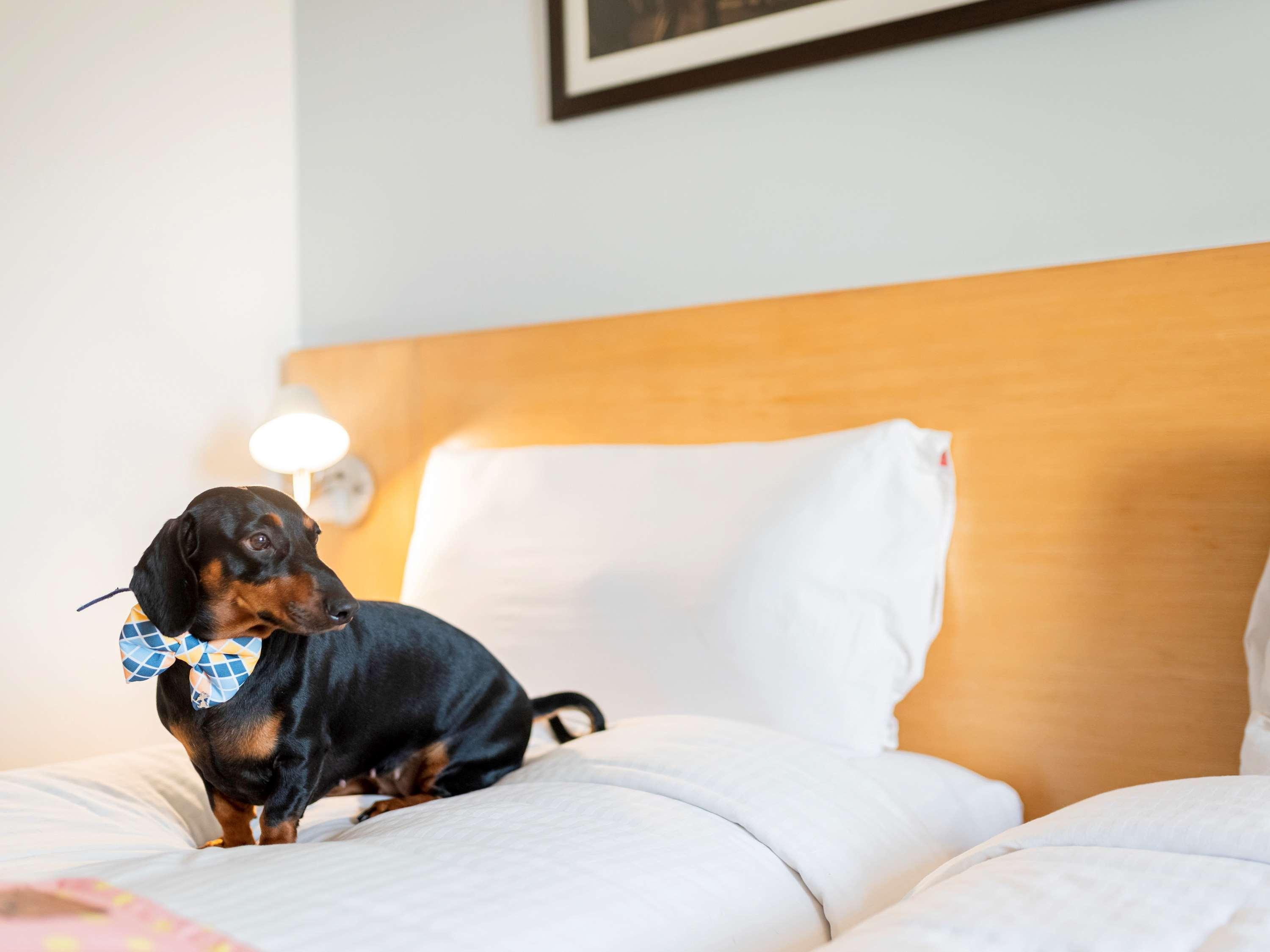 Ibis Centre - An Accor Brand 4*