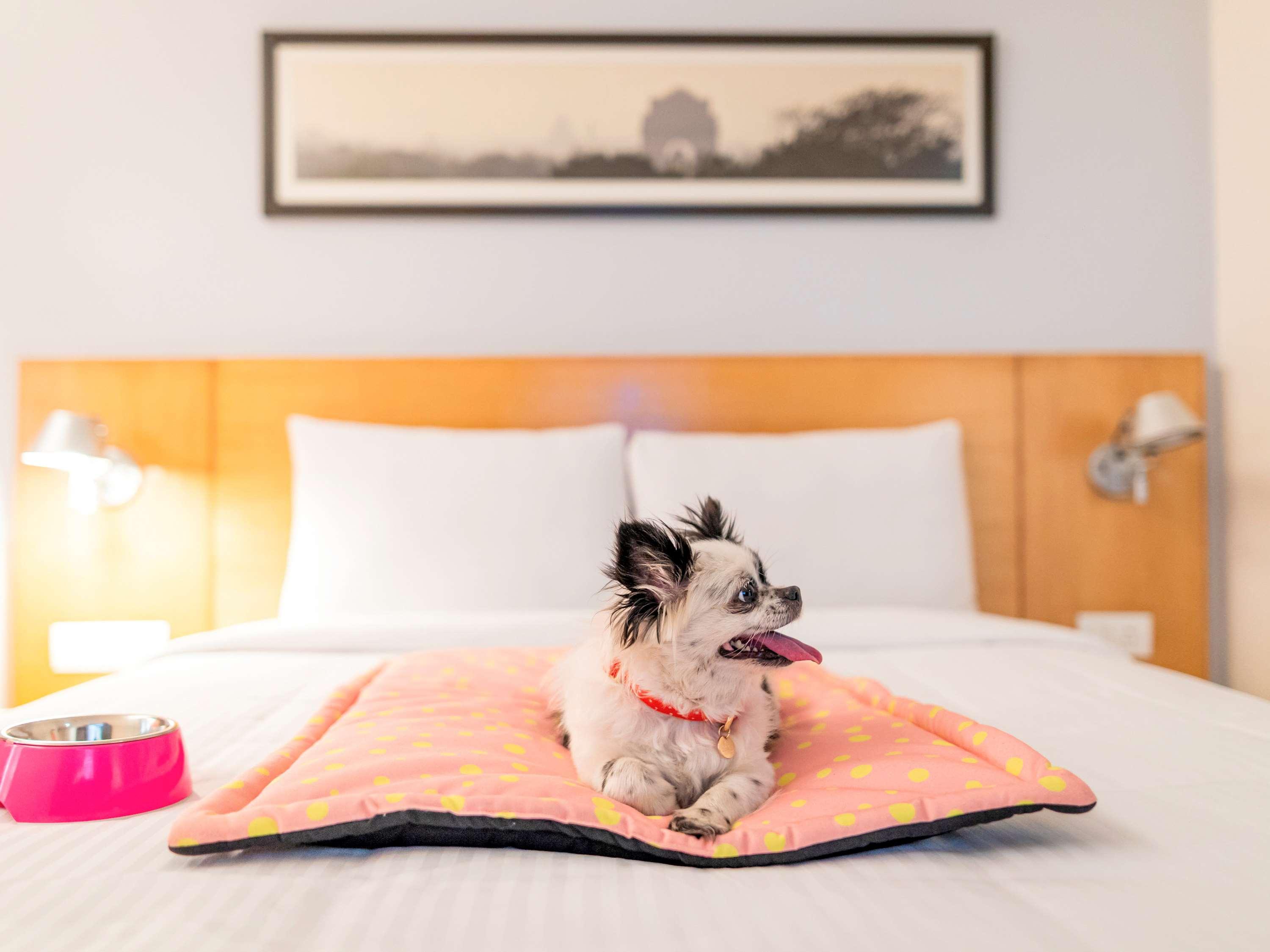 Ibis Centre - An Accor Brand