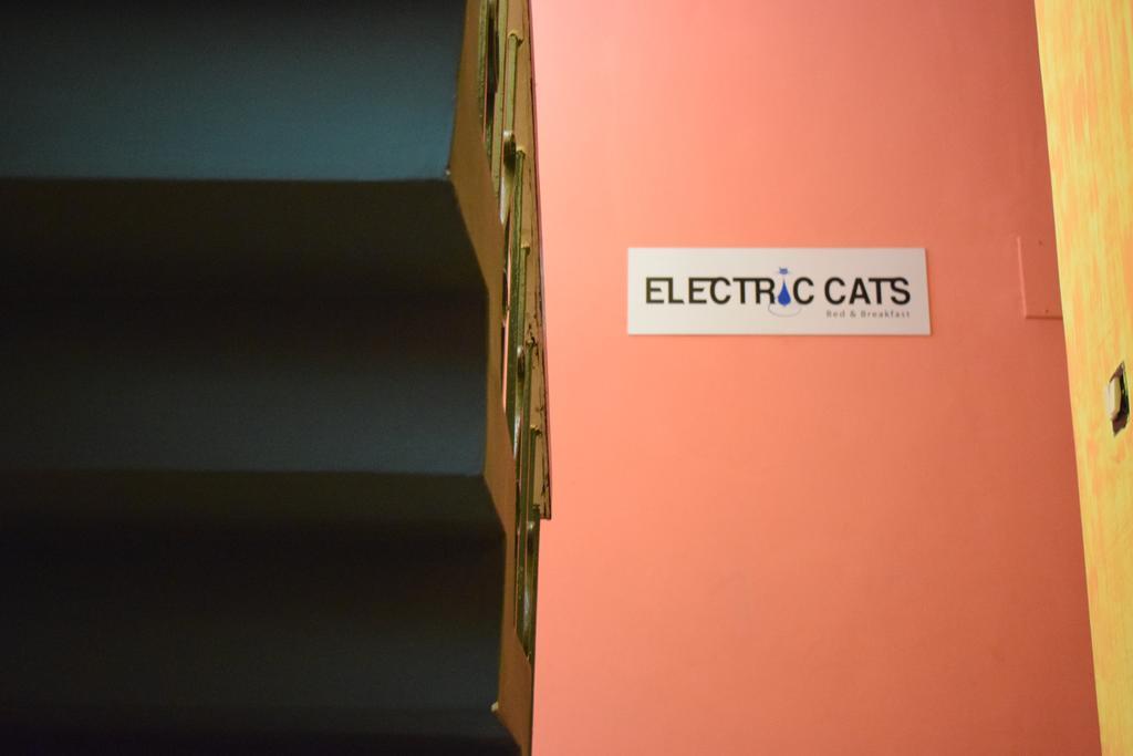 Electric Cats Bed & Breakfast Hostel Bangalore