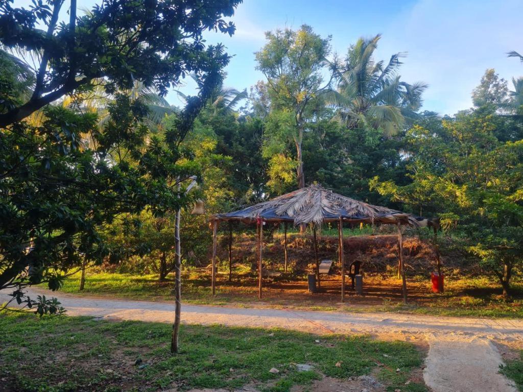 Wooden House Farm Farm stay *