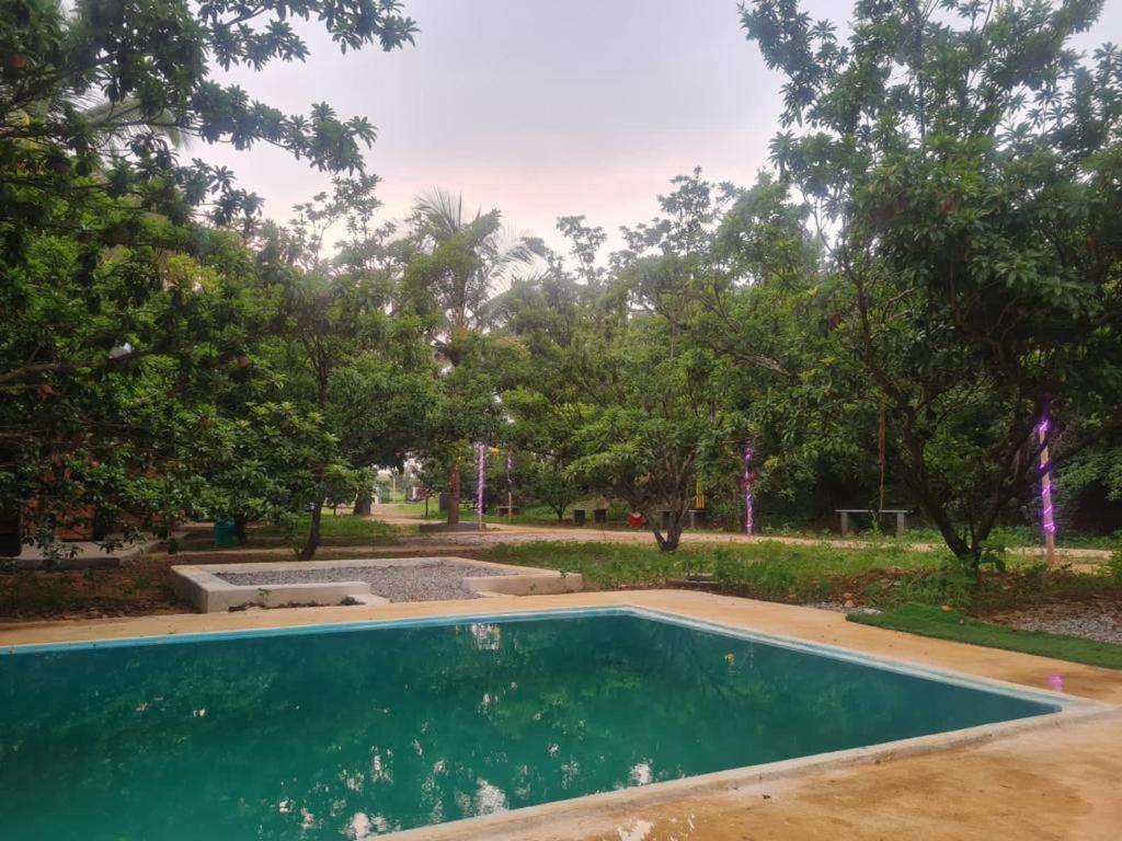 Wooden House Farm Bangalore