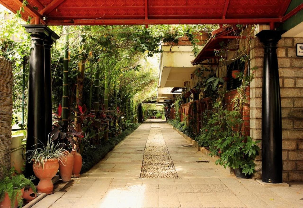 The Green Path Eco