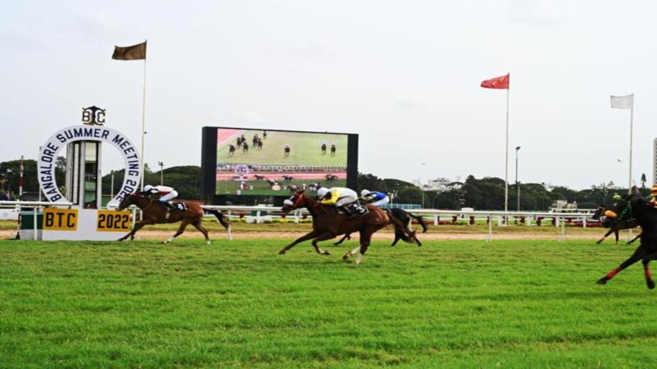 Racecourse By Ihg