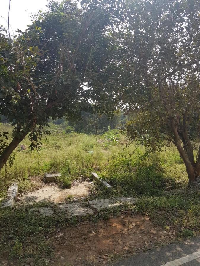Homestay Anuraag *