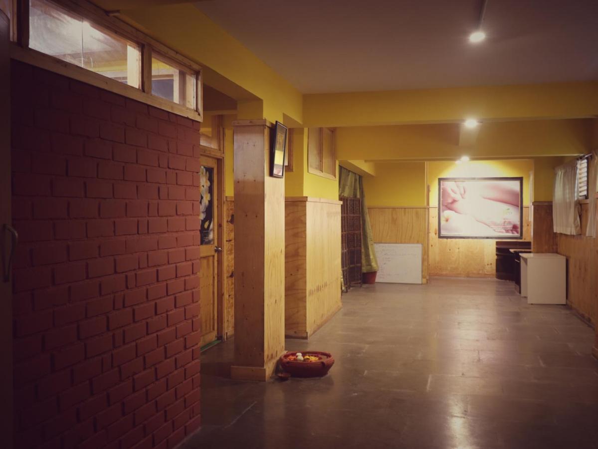 Hotel The Green Path Eco 3*