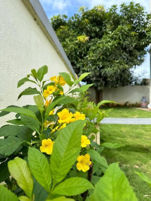 Villa Krishna Homes *