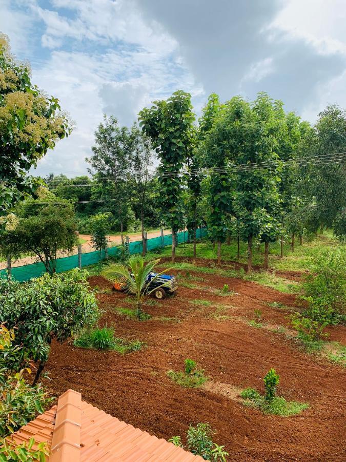 Eco Farm Farm stay