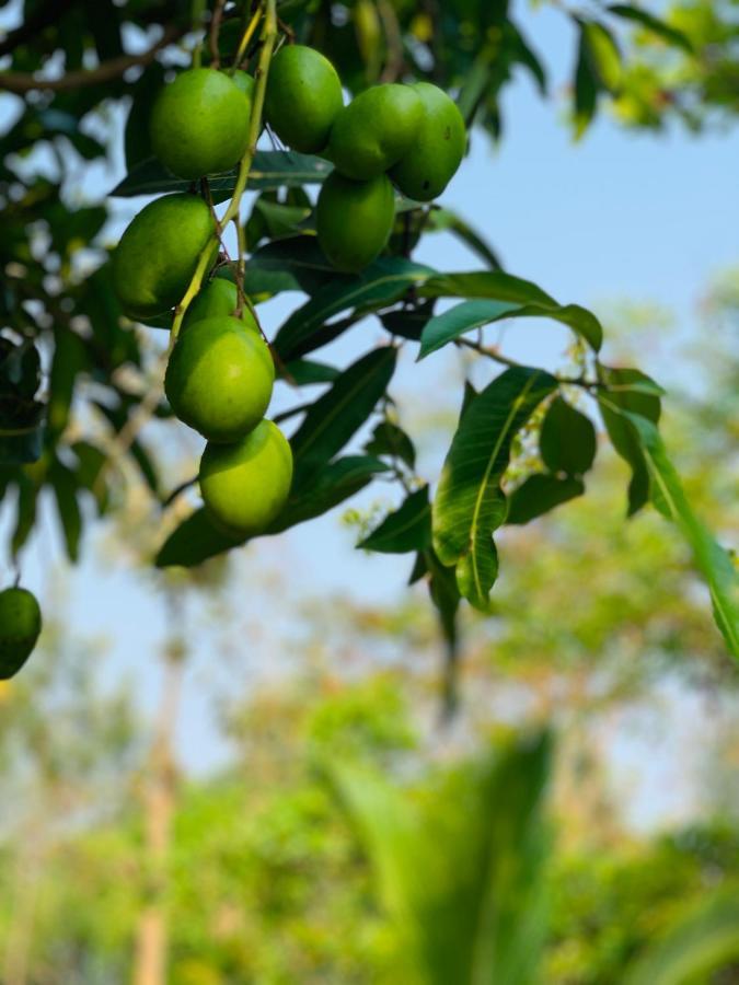 Eco Farm Bangalore