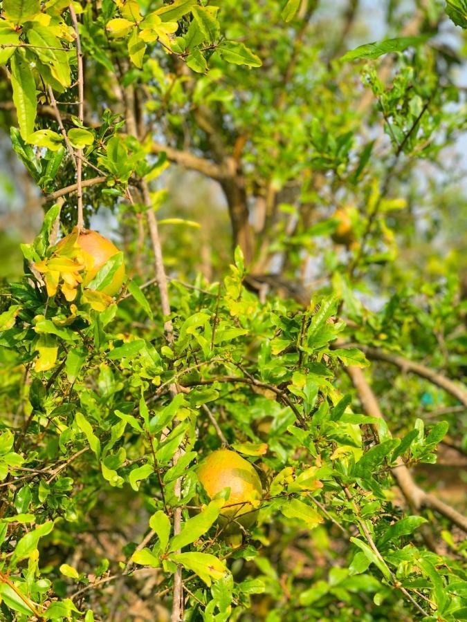 Eco Farm Farm stay Bangalore