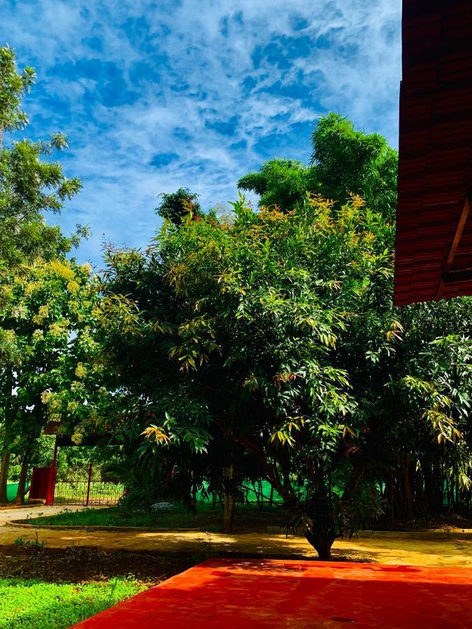 Farm stay Eco Farm