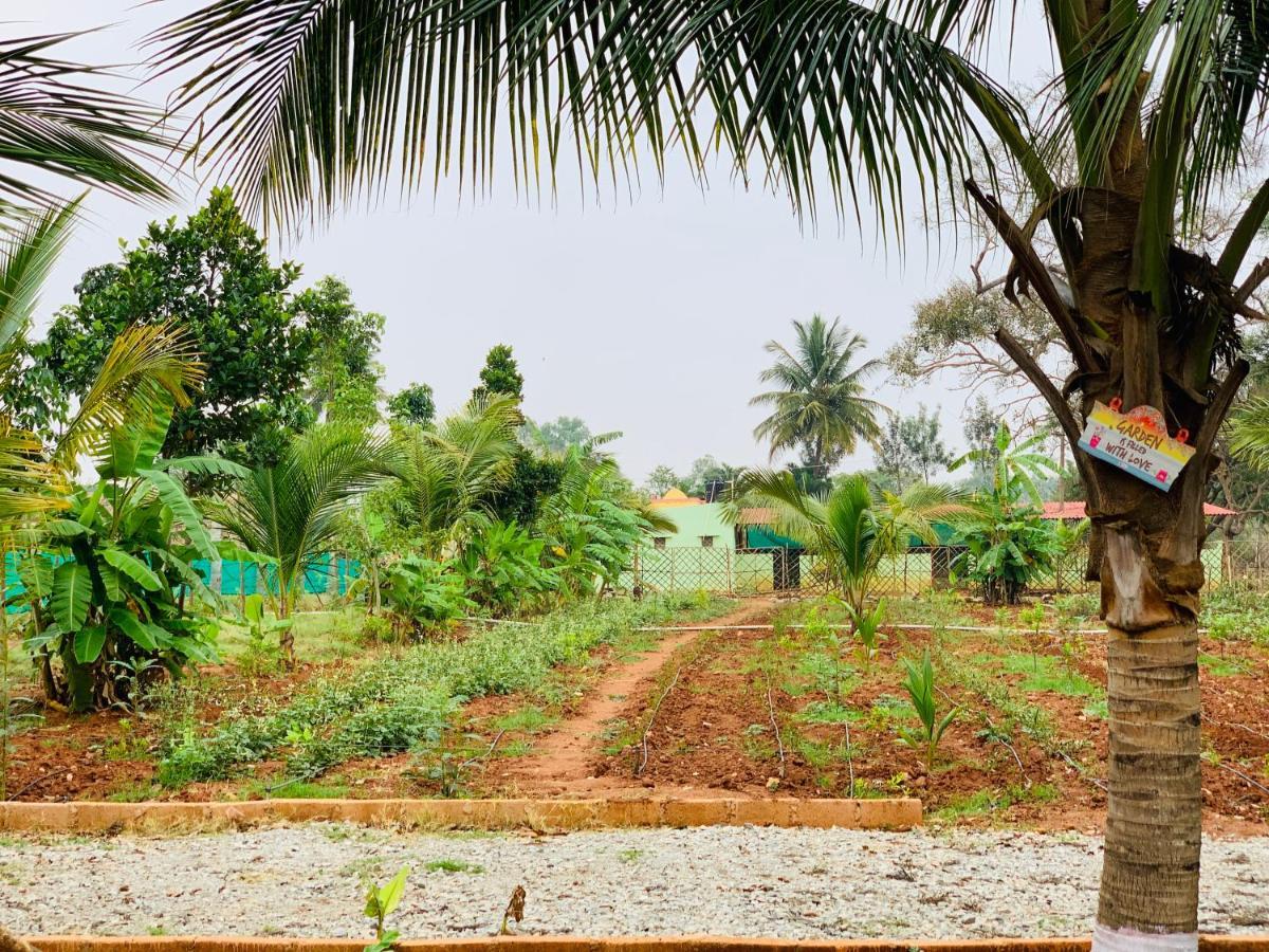 Eco Farm Bangalore