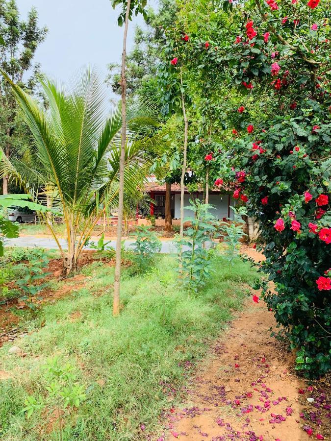Farm stay Eco Farm