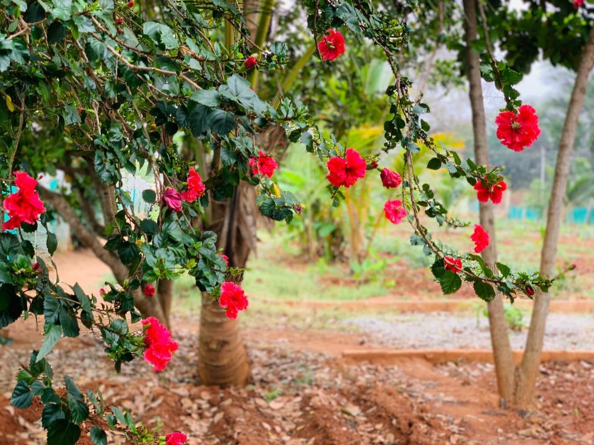 Eco Farm * Bangalore