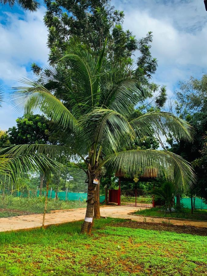 Eco Farm Farm stay